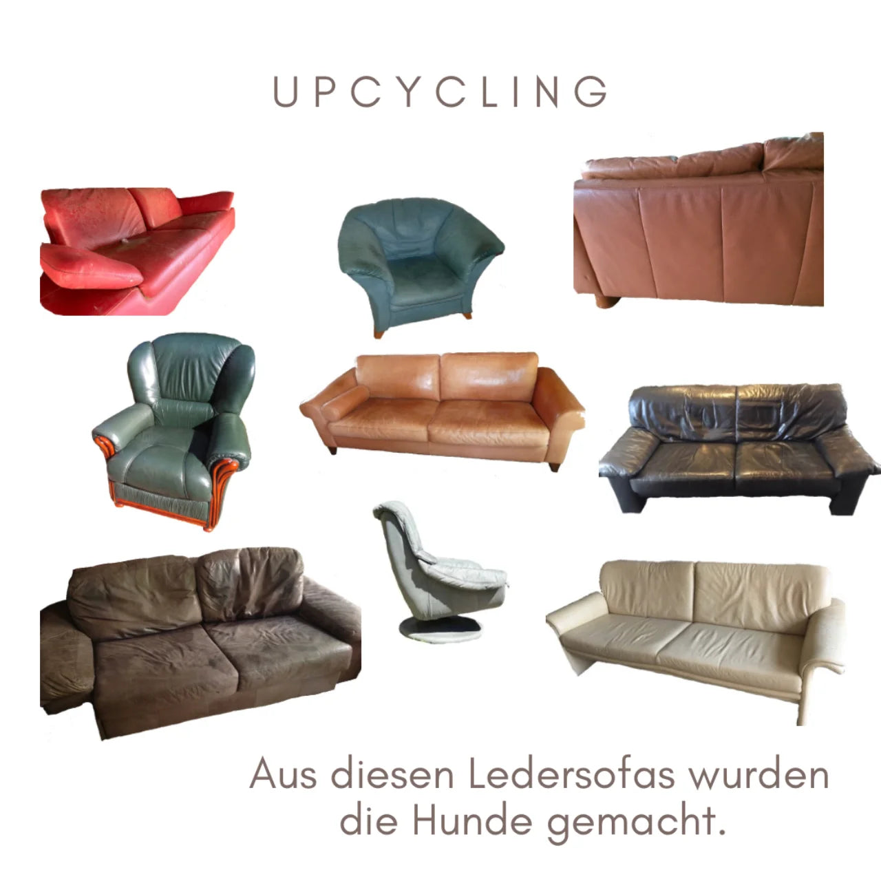 Hund Schlüsselanhänger